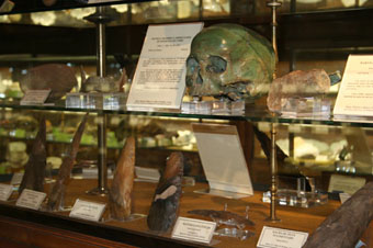 Vitrina general de Arqueología